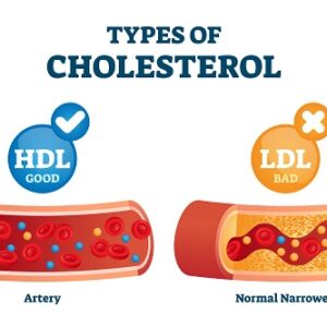 How is Alkaline phosphatase (ALP) important to us? | Bowtie